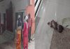 মালদা হ্যান্টাকালী মন্দিরে এক সদ্যজাত শিশুর ক্ষতবিক্ষত মৃতদেহকে ঘিরে চাঞ্চল্য